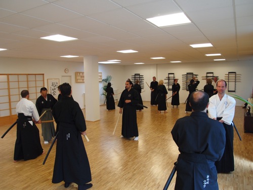 Kenjutsu Seminar Köln - Kumitachi mit Niina Gosoke