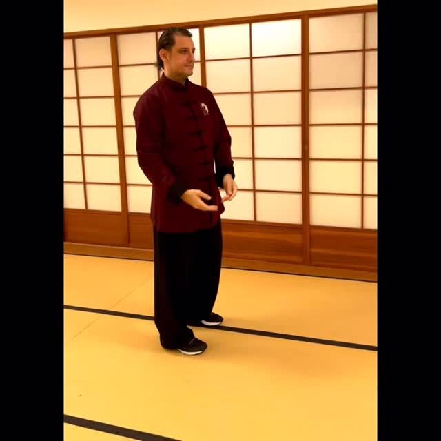 Hunyan Taiji
Ein weiterer Ausschnitt der Hunyan Taiji 24er Form
Another part of the Hunyan Taiji 24 form
.
Lerne authentisches Hunyan Tai Chi Chen in unserem Dojo und vereinbare jetzt ein Probetraining!
🥋Tenshinkai Dojo Köln
Kampfkunstschule in Köln
.
⛩Learn Mugai Ryu Iaido online: 
➡️ http://www.iaido-online.com
.
🔗 Web: https://www.iaido-koeln.de
📧 Mail: info@tenshinkai.de
☎️ Tel: 0221/169 41 46 2
.
📌 Youtube: https://www.youtube.com/c/TenshinkaiDojo
📌 Facebook: 
https://www.facebook.com/TenshinkaiDojoKoeln/
📌 Instagram: https://www.instagram.com/tenshinkai_dojo/
📌 TikTok: https://www.tiktok.com/@tenshinkai_dojo
.
Music „Wuji“ by ZanDo EnergyArts, Artist is a student at Tenshinkai 
Wuji by ZanDo EnergyArts - DistroKid
.
#martialarts
#tenshinkai 
#taichi
#hunyantaichi
#qigong
#internalmartialart
#pushhands
